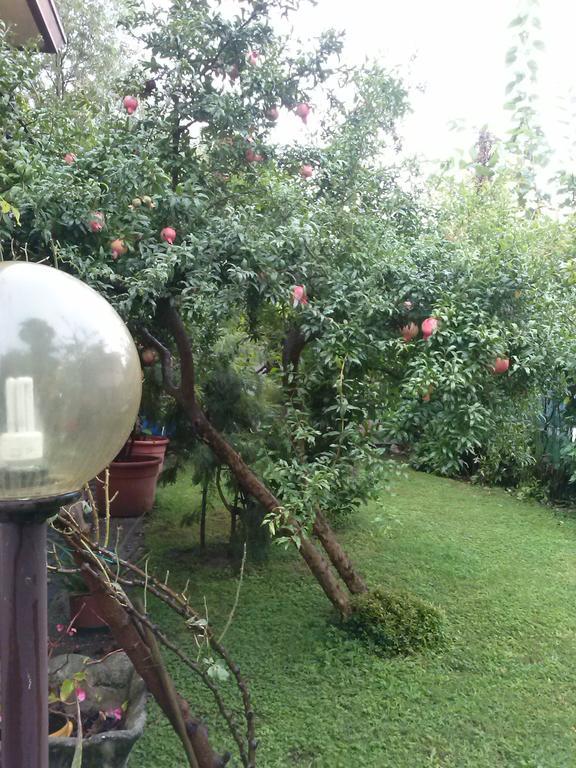 Casa Irene Bed & Breakfast Torri di Quartesolo Exterior photo